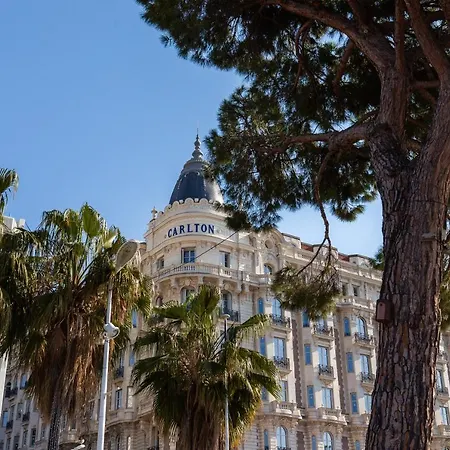 Alexandra - Luxury Jardins D'arlias By Sweett Cannes